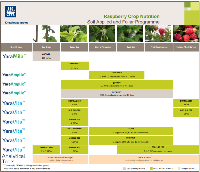 Raspberry fertiliser programme
