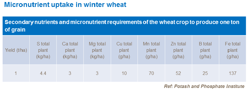 Micronutrient uptake in winter wheat