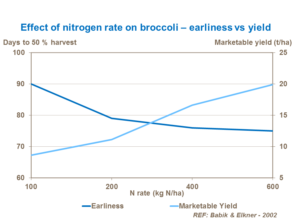 Effect of nitrogen rate on broccoli – earliness vs yield