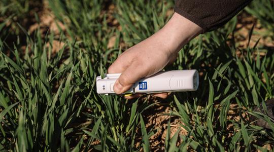 N-tester in a crop field 